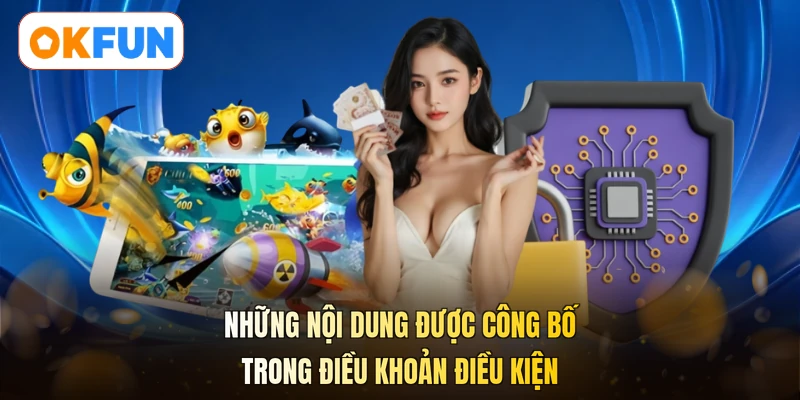Những nội dung được công bố trong điều khoản điều kiện